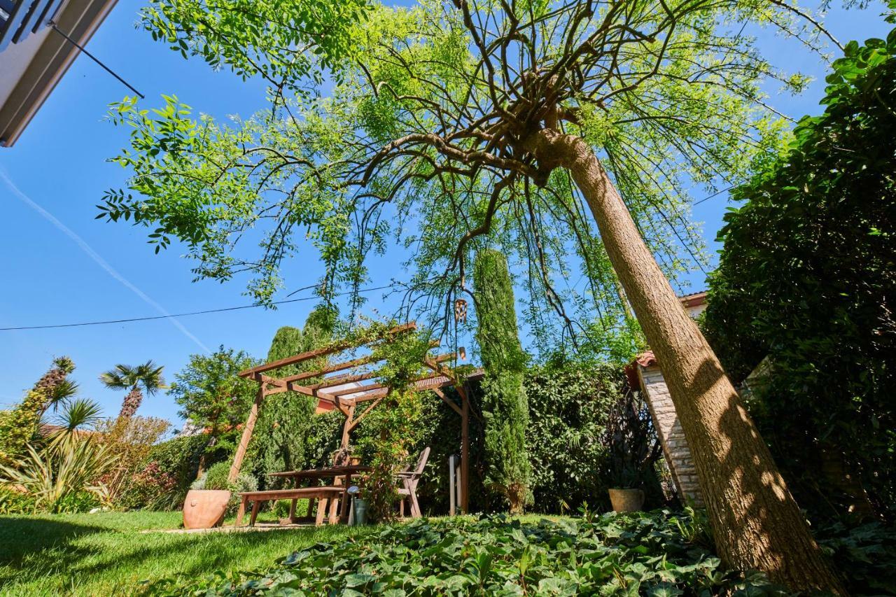 Avantgarden أوماغ المظهر الخارجي الصورة